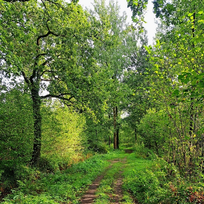 Oirschot2