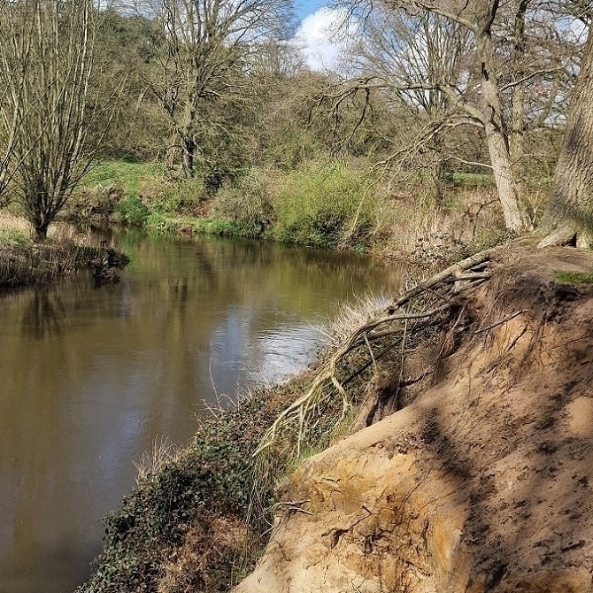🟦 5 km wandeling op 14-04-2026