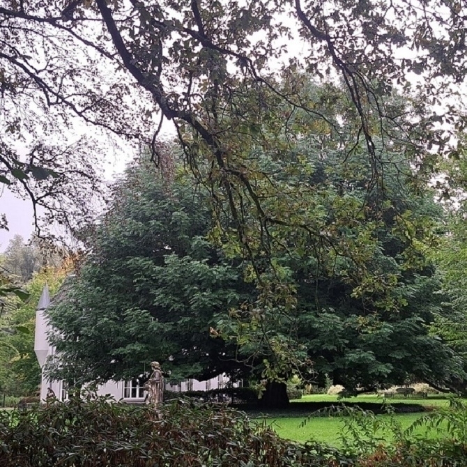 🟦 5 km wandeling op 13-10-2026