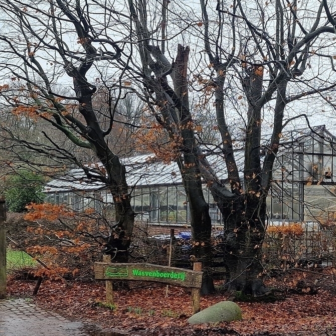 🟦 5 km wandeling op 10-03-2026